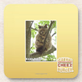 Koala Kitteh Bier Onderzetter (Voorkant)