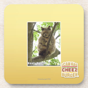 Koala Kitteh Bier Onderzetter