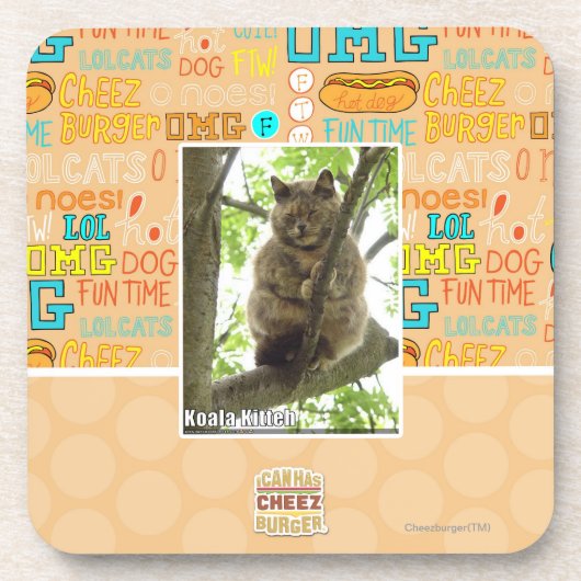 Koala Kitteh Bier Onderzetter (Voorkant)