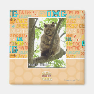 Koala Kitteh Magneet