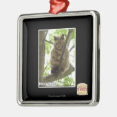 Koala Kitteh Metalen Ornament (Links)