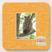 Koala Kitteh Onderzetter (Voorkant)