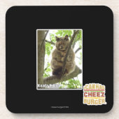 Koala Kitteh Onderzetter (Voorkant)