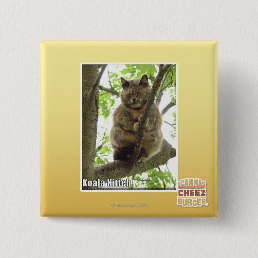 Koala Kitteh Vierkante Button 5,1 Cm (Voorkant)