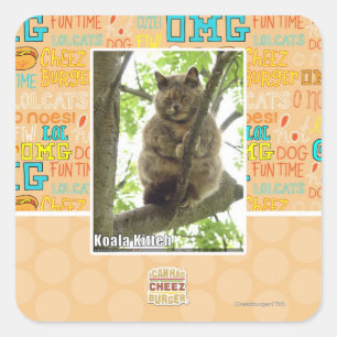 Koala Kitteh Vierkante Sticker