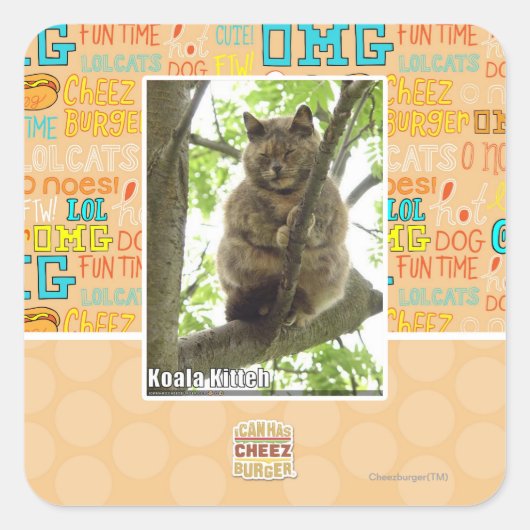 Koala Kitteh Vierkante Sticker (Voorkant)