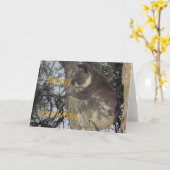 Koala knuffelen Tree Verjaardag Kaart (Gele Bloem)
