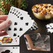 koala-knuffels pokerkaarten (Insitu)