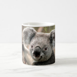 Koala Koffiemok