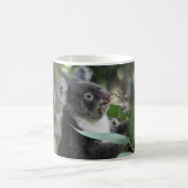 Koala Koffiemok (Center)