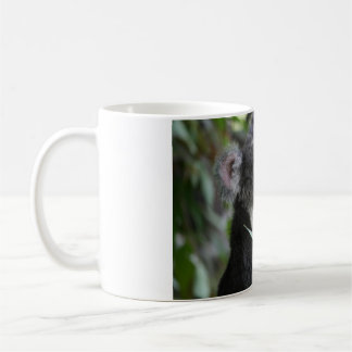 Koala Koffiemok