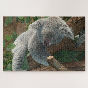 Koala Legpuzzel
