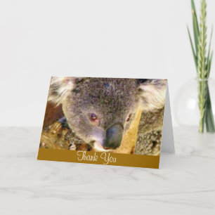 Koala Love_ Bedankkaart