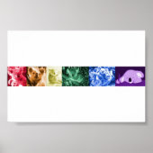 Koala Love Poster (Voorkant)