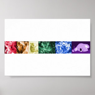 Koala Love Poster