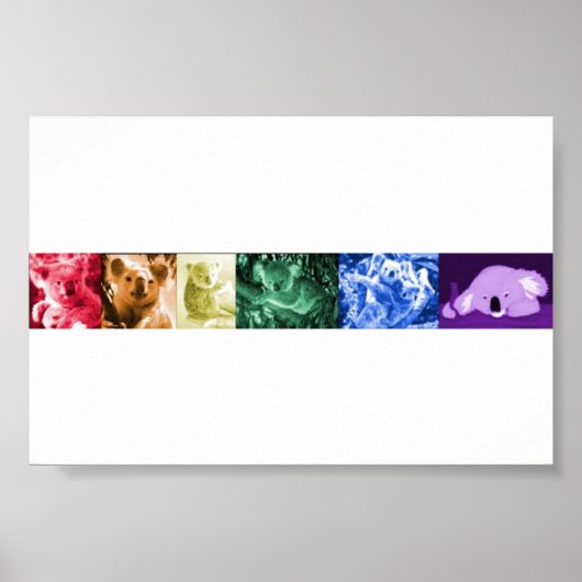 Koala Love Poster (Voorkant)
