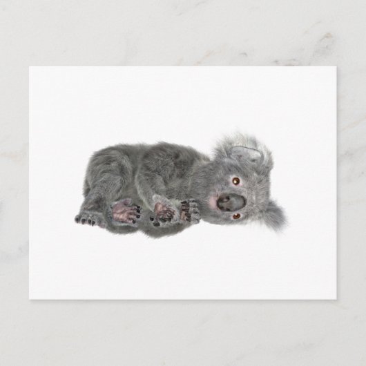Koala Lying Down Briefkaart (Voorkant)