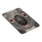 Koala Magneet (Rechterzijde)