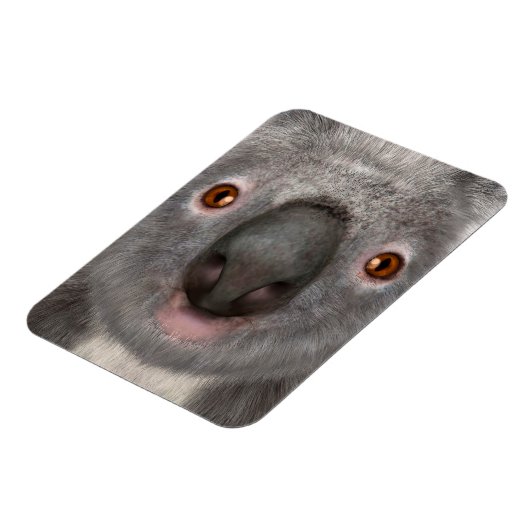 Koala Magneet (Linkerzijde)