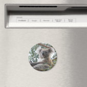 Koala Magnet (In Situ (Lave-vaisselle))