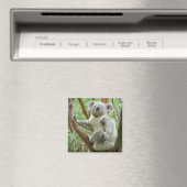Koala Magnet Magneet (Insitu (Vaatwasser))