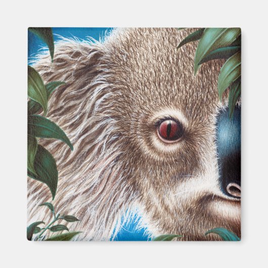 Koala Magnet Magneet (Voorkant)