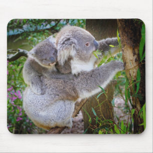 Koala mama zoon muismat