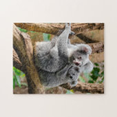 Koala met Baby in een boom in Australië Legpuzzel (Horizontaal)
