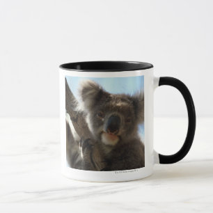 koala mok