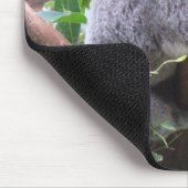Koala Mousepad Muismat (Hoek)