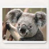 Koala Muismat (Voorkant)