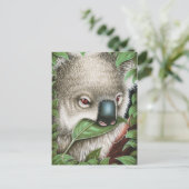 Koala Munching a Leaf Briefkaart (Staand voorkant)