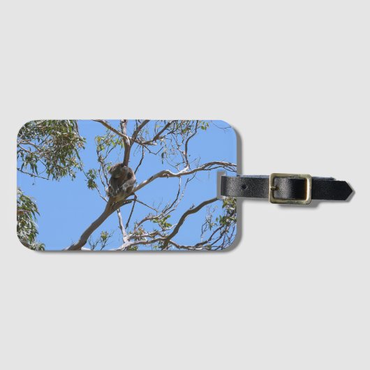 Koala Nap Bagagelabel (Voorkant (horizontaal))