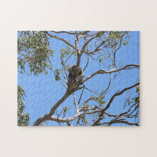 Koala Nap Legpuzzel