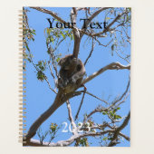 Koala Nap Planner (Voorkant)