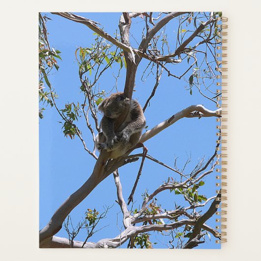 Koala Nap Planner (Achterkant)