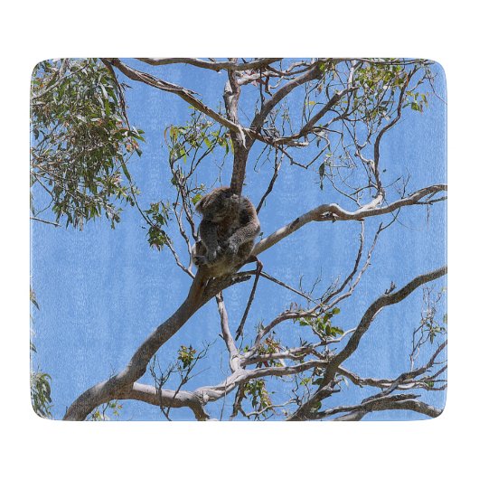 Koala Nap Snijplank (Voorkant)
