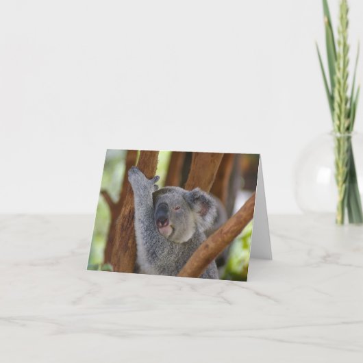 Koala Notecard Kaart (Voorkant)