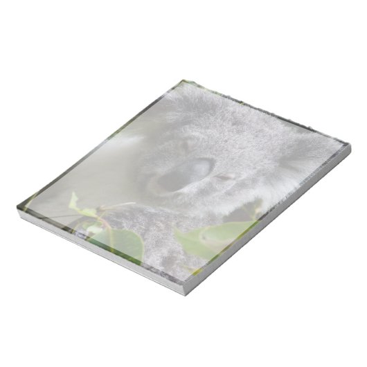 koala notitieblok (Gedraaid)