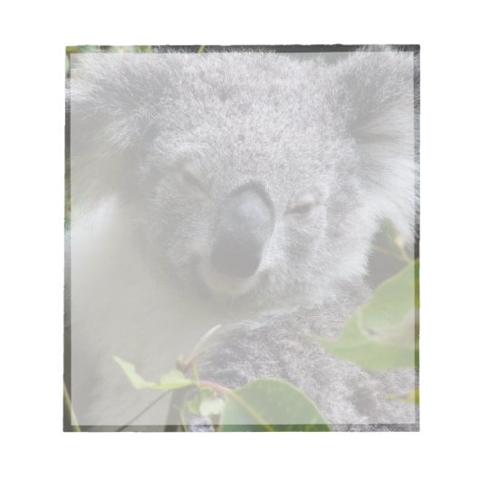 koala notitieblok (Voorkant)