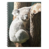 Koala Notitieboek (Voorkant)