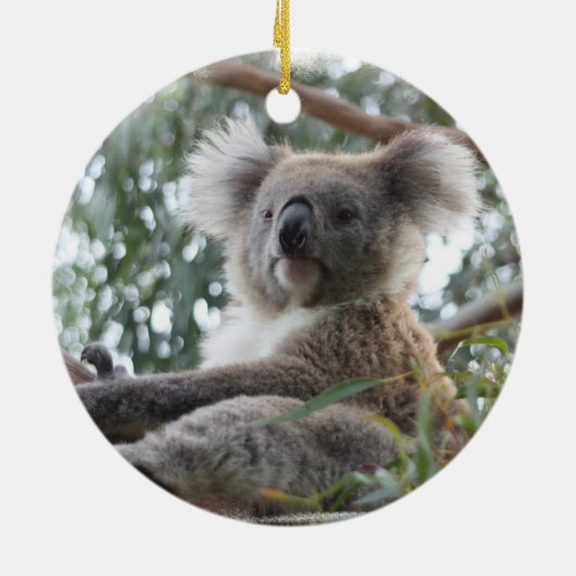 Koala Ornament (Achterkant)