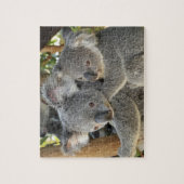 Koala Phascolarctos cinereus Queensland Legpuzzel (Verticaal)
