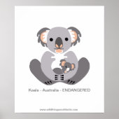 Koala - poster (Devant)