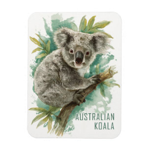  Koala Reizen Magneet