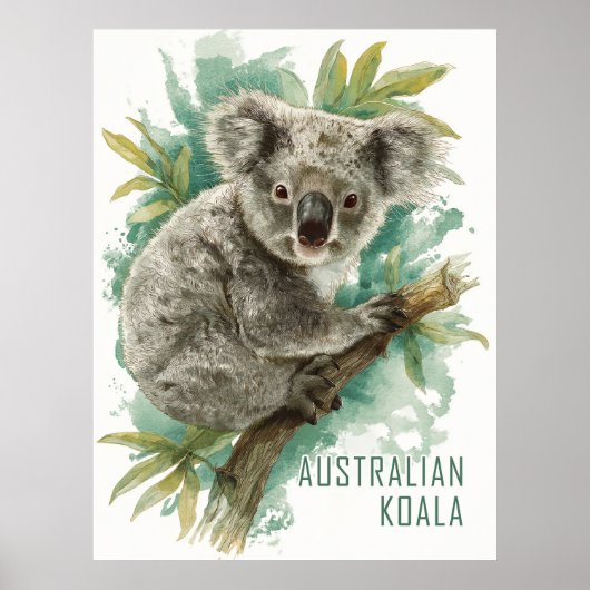  Koala Reizen Poster (Voorkant)