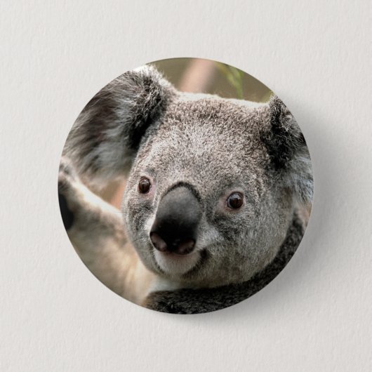 Koala Ronde Button 5,7 Cm (Voorkant)