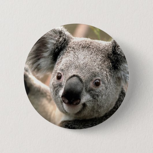 Koala Ronde Button 5,7 Cm (Voorkant)