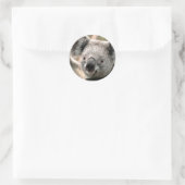 Koala Ronde Sticker (Tas)