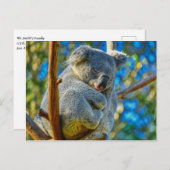 Koala rustig slapen in een boom briefkaart (Voorkant / Achterkant)